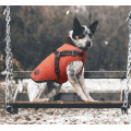 Otoño Invierno Nuevo chaleco de ropa de arnés para perros
